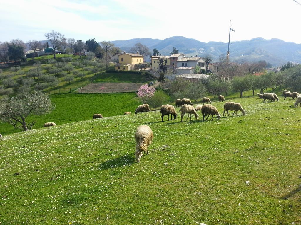 Casa Vittoria Daire Piano Delle Pieve Oda fotoğraf